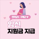 구례보건의료원 | 임신지원금 지급 안내