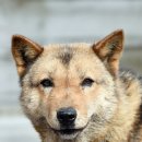 달아실 농원 이미지