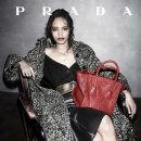 말라이카 이미지