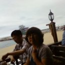 왕산골 사슴농장 이미지