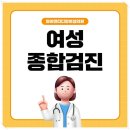 와이앤티