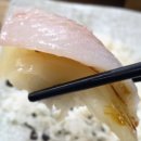 포항물회 | 수영역 횟집 자연산 활어 전문 포항물회 후기