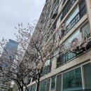 이주하 | 만에 삼전에서 S&amp;P ETF로 갈아타다!(고객 확인 대상?!) 꽃피는 여의도!; feat, &#39;이주하는 인류&#39; 솔직 후기