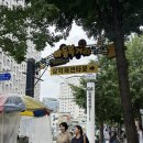 [남대문/을지로 코스] 수영복 성지 투어(남도스포츠·무지개수영복) &amp; 가성비 끝판왕 을지로 모아식품...