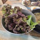 최돼지부락촌