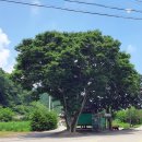 전주가는길 이미지