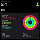 바디부스트 이미지