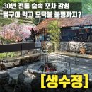 감성숲 | [대구 가창 맛집] 포차 감성 숲속 식당 생수정 방문 후기