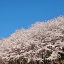 해나라1호 | 진주, 월아산자연휴양림 글램핑 1호 1박 후기