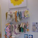 포드그루와 이미지