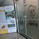 소중한댕