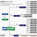 대명유통 이미지