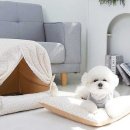 개과천선 이미지