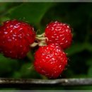 개인택시(김영수) 이미지