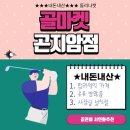 에이스스크린골프클럽 | 내돈내산 아이언우드드라이퍼퍼터유틸 풀세트와 골프백 둘리나캣 구매후기. 고급채. 저렴한 작은선물.