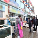 동해-단속-49 이미지