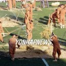 귀리겉보리 농사일소리 이미지