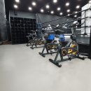 엘리트 복싱클럽 이미지