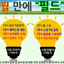 청산골프연습장 세계타임즈