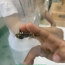 누리영농조합법인 이미지