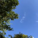 증산-025 | [ 79파운야드 양산증산점 ] 강언니와 함께 양산 신상 카페 투어 솔직후기!