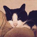 은혜가스 이미지