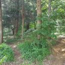 매화둠벙마을영농조합법인 이미지