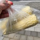 속초로컬푸드 | 내린천휴게소 간식 추천! 로컬푸드 찰옥수수 솔직후기 (+혈당 변화)