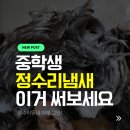 허브앤점핑Do | 중학생 정수리냄새 고민, 쿤달 청소년 샴푸 플럼앤그레이프프룻으로 해결한 후기