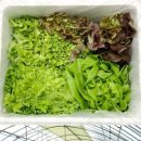 (유)수경 이미지