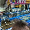 충남여행 대천항 수산시장 횟집추천 땡큐수산 내돈내산 솔직후기