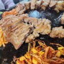 벼슬돼지