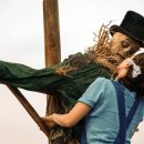 광기농장 이미지