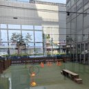 세인트존스 동물병원 이미지