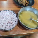 함덕초등학교선인분교장 | 제주 조천 선흘리 | 중산간의 점심상 - [훈이네] 정식 그리고 녹색뷰의 작고 깔끔한 카페 [공간서오]