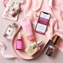 에스티앤비 이미지