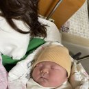 38주 5일 아기 짹짹이를 만나다 👶🏻🧡 (대전 모태산부인과 제왕절개 출산 후기)