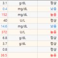 분당 필동물병원 이미지