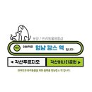 멍냥캉스 이미지