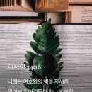 [중보기도요청] 2024년7월25일(목) 이미지