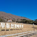 안양목장 | 전남 화순 데이트 코스) 호남의 알프스 무등산양떼목장을 가다.