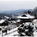 [돌고래여행사] 2월8일(일) 영주 부석사 선비촌 무섬마을 눈꽃여행 이미지