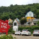 강촌초코민트 이미지