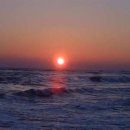 동호해변 이미지