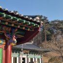 나무밭 | [홍천 여행] 여유 있는 홍천 여행 나무밭 숙소 이용 후기