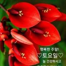 8월21일 뉴스브리핑 이미지