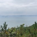 아지 상점 이미지