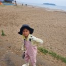 씨스페이스 고사포점 | 변산 고사포해수욕장 갯벌체험 조개잡이