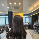 라페스타 이미지