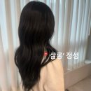 새선영미용실 | [수원 광교 미용실] 살롱’정성 | 광교중앙역에서 선영 실장님 톤다운 염색 후기